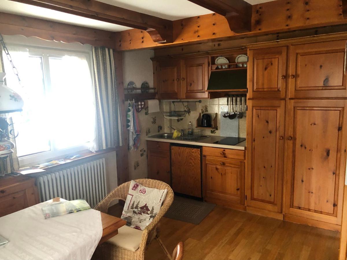 Gaestehaus Lickert Ferienwohnung Sued Feldberg Hinterzarten Ngoại thất bức ảnh
