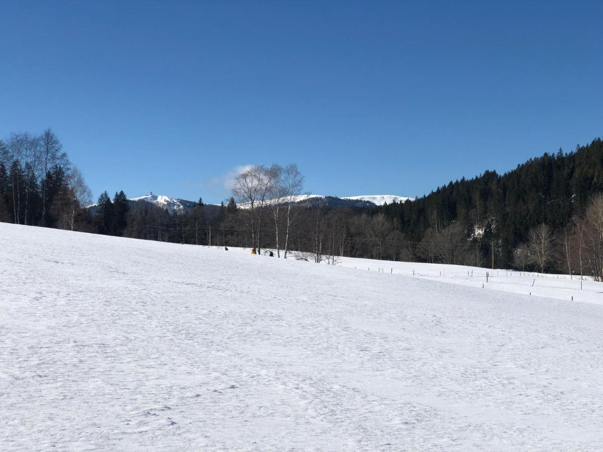 Gaestehaus Lickert Ferienwohnung Sued Feldberg Hinterzarten Ngoại thất bức ảnh